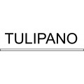 TULIPANO